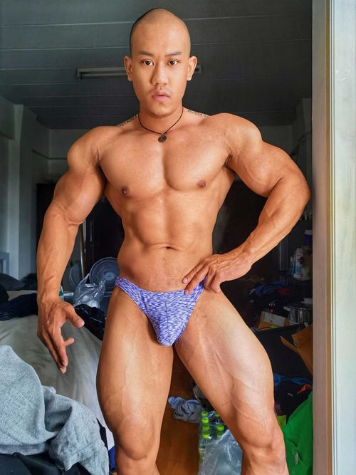 musclebem