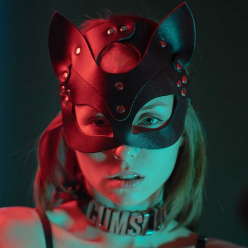 mylittle_swallow